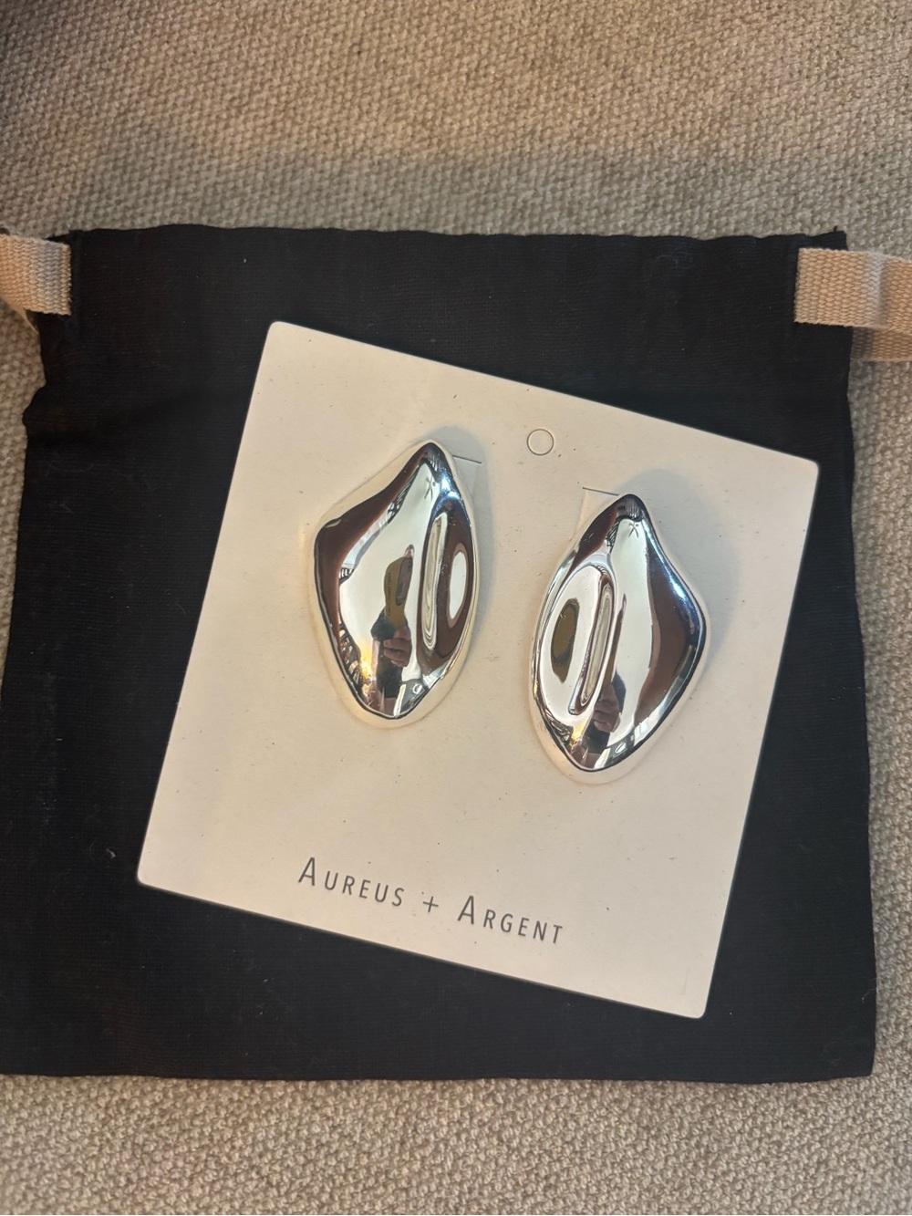 Aureus & Argent with Banana Republic Silver Earrings. New with tags. Never worn.
